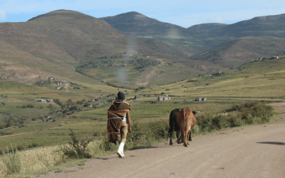 Lesotho in the House of Commons