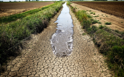 The South African Drought