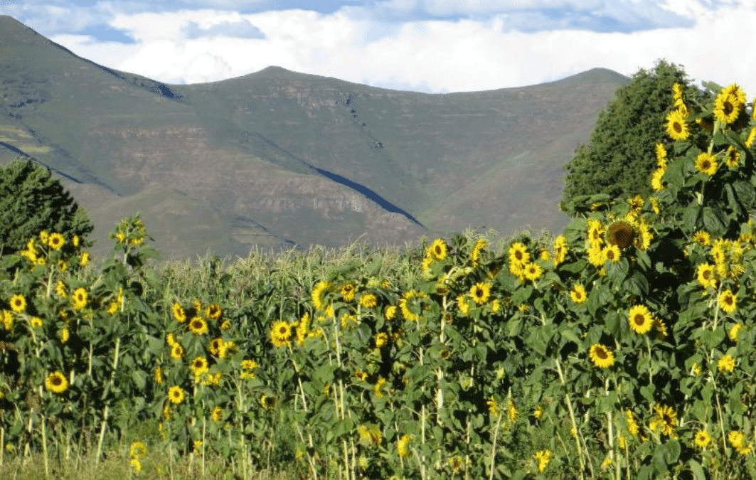 Five Beautiful Things about Lesotho