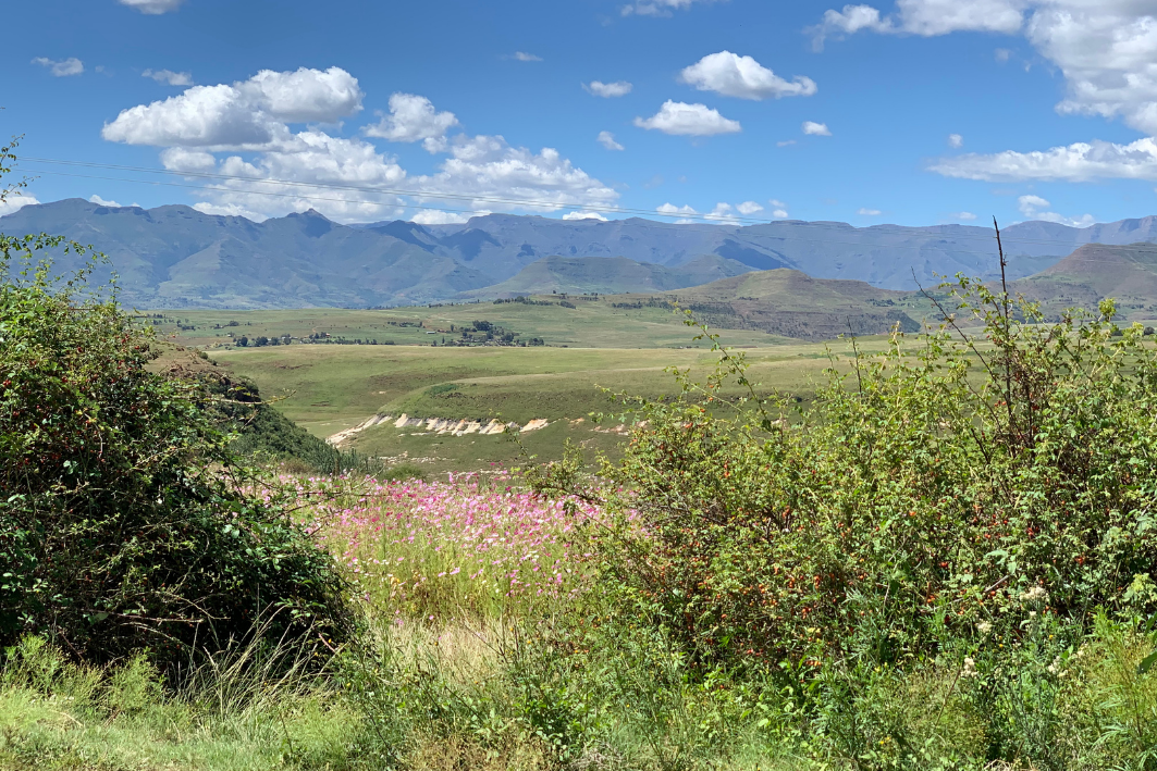 Peg's 2nd Letter 'from' Lesotho of 2021.