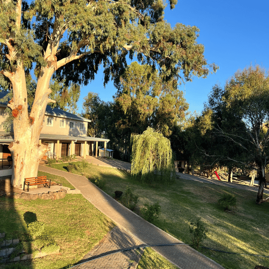 grandmother day with kids playing