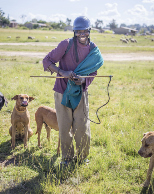 herd boy in a field