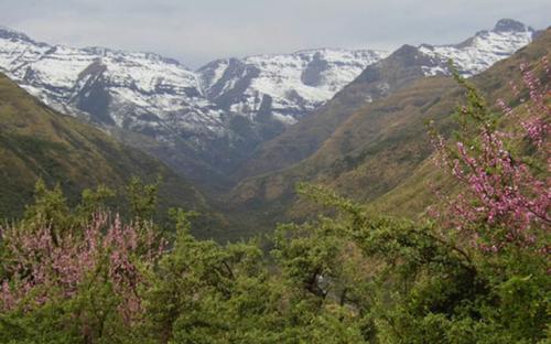 tsehlanyane-national-park-lesotho